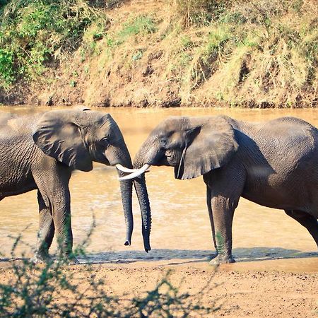 Mtomeni Safari Camp 호텔 팔라보르와 외부 사진