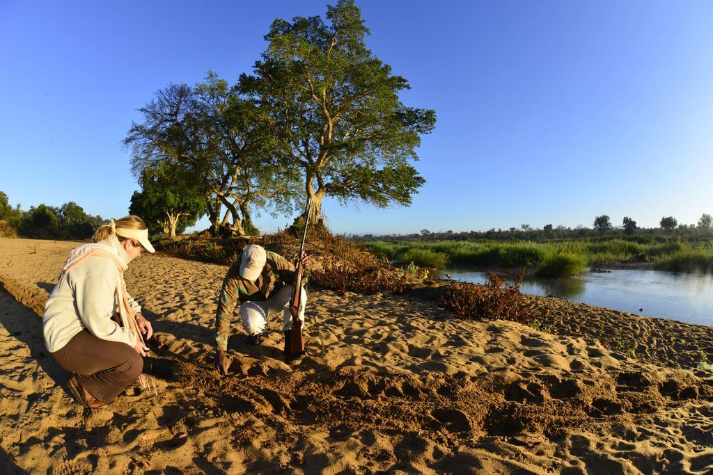 Mtomeni Safari Camp 호텔 팔라보르와 외부 사진